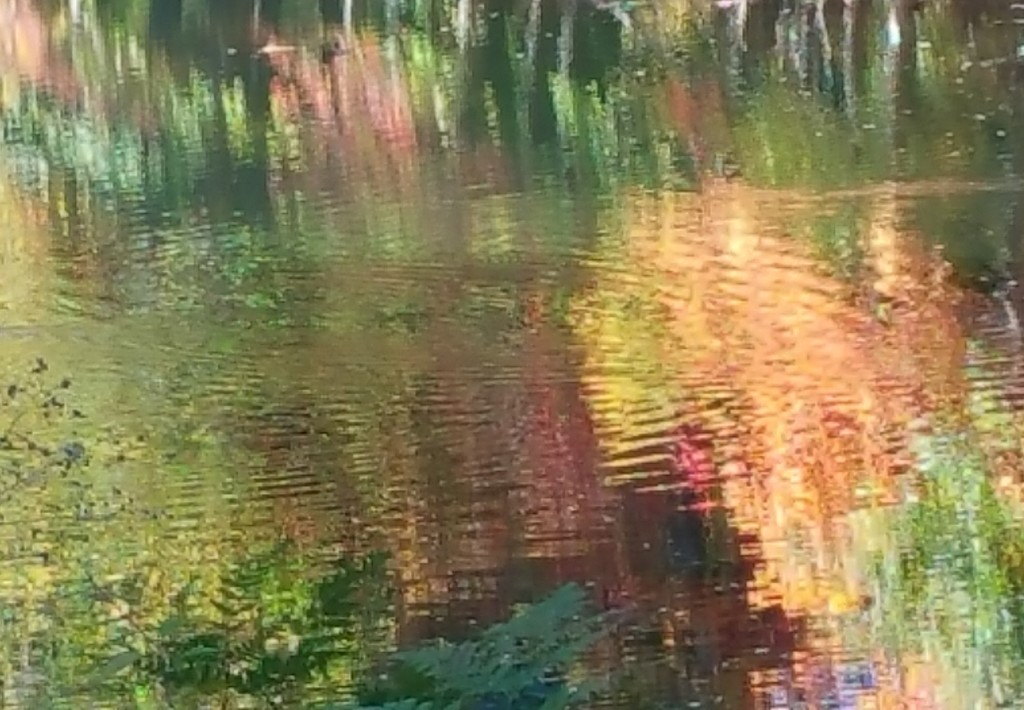 Don’t Let the Ripples of Life Steal Your Focus