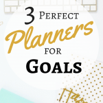 Perfect Planners for Goals