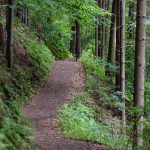 Making Choices for the Sake of Survival or Thriving
